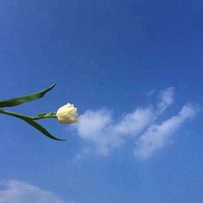 仙剑单机版破解版下载