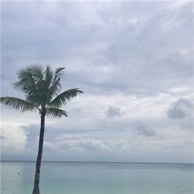 梦游仙境加强版变态版下载